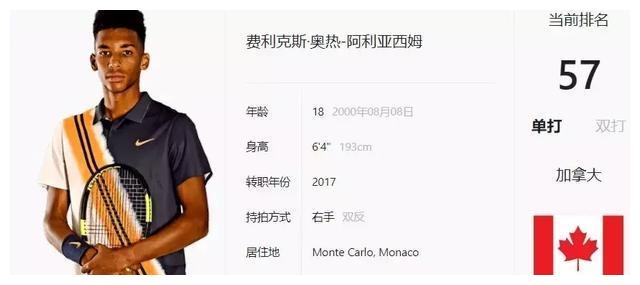 泳池中竞技 泳池中竞技