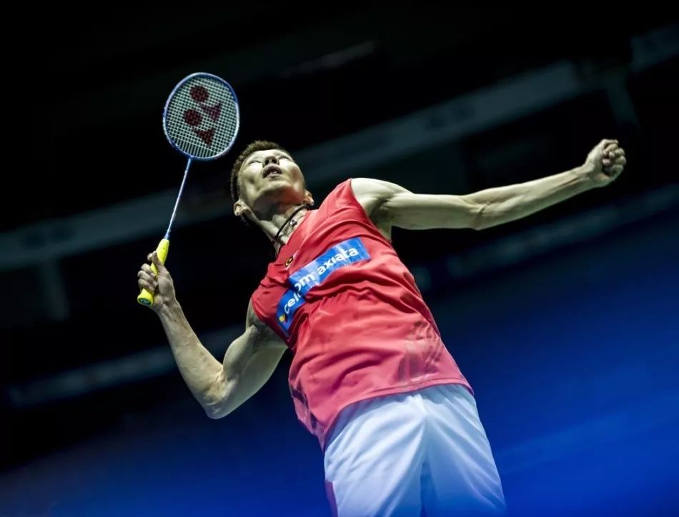 回归宣言 回归宣言